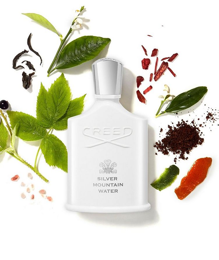 CREED SILVER MOUNTAIN WATER EDP 100ML/M
