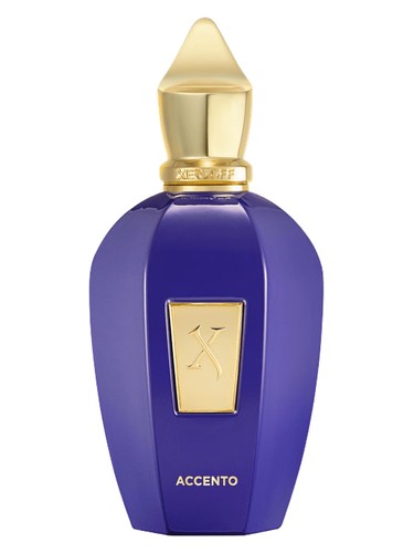 T.XERJOFF ACCENTO EDP 100ML/U