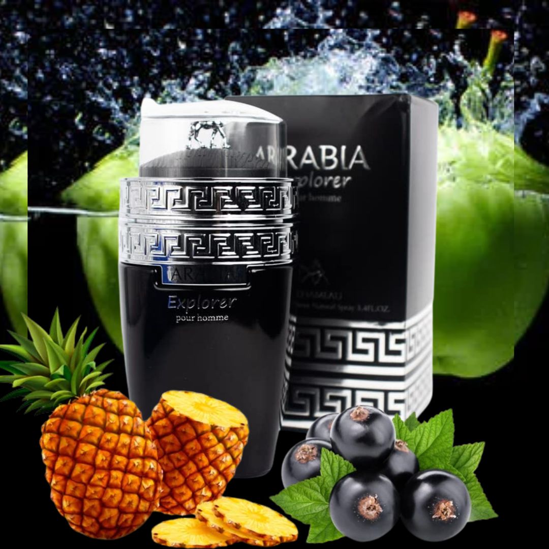 LE CHAMEAU ARABIA EXPLORER POUR HOMME EDP 100ML/M