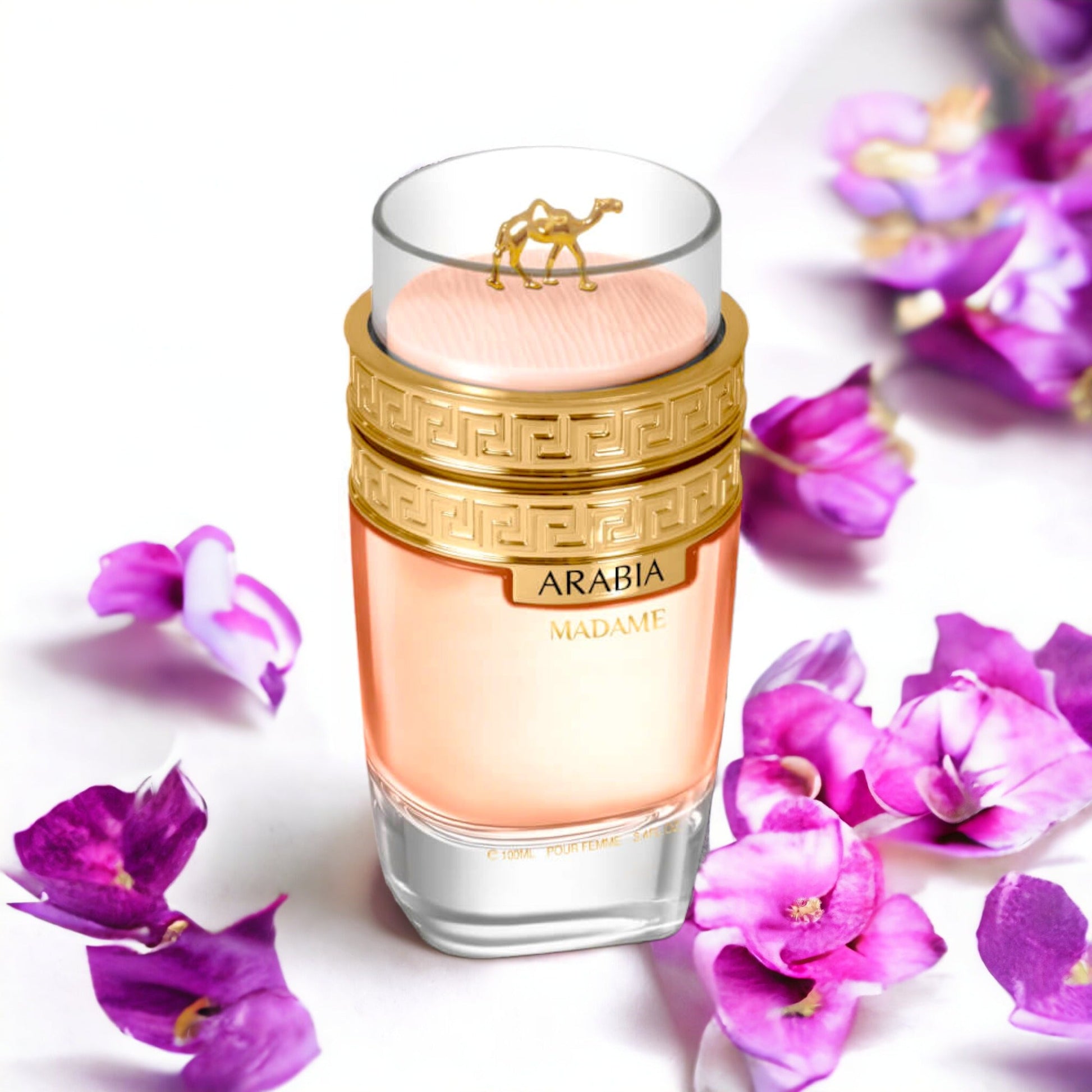 LE CHAMEAU ARABIA MADAME POUR FEMME EDP 100ML/W