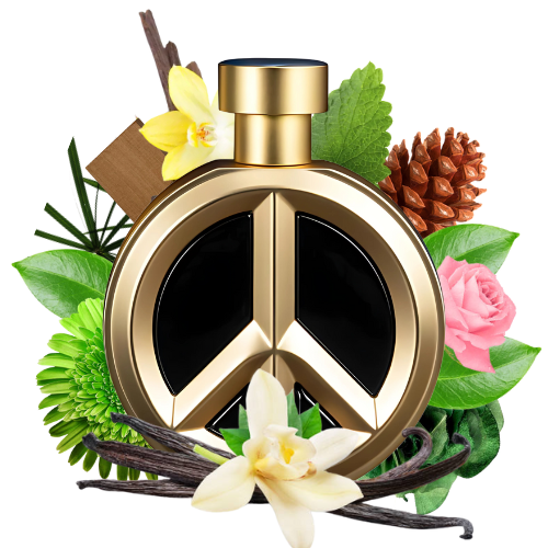 BHARARA PLACID PARFUM EDP 100ML/U