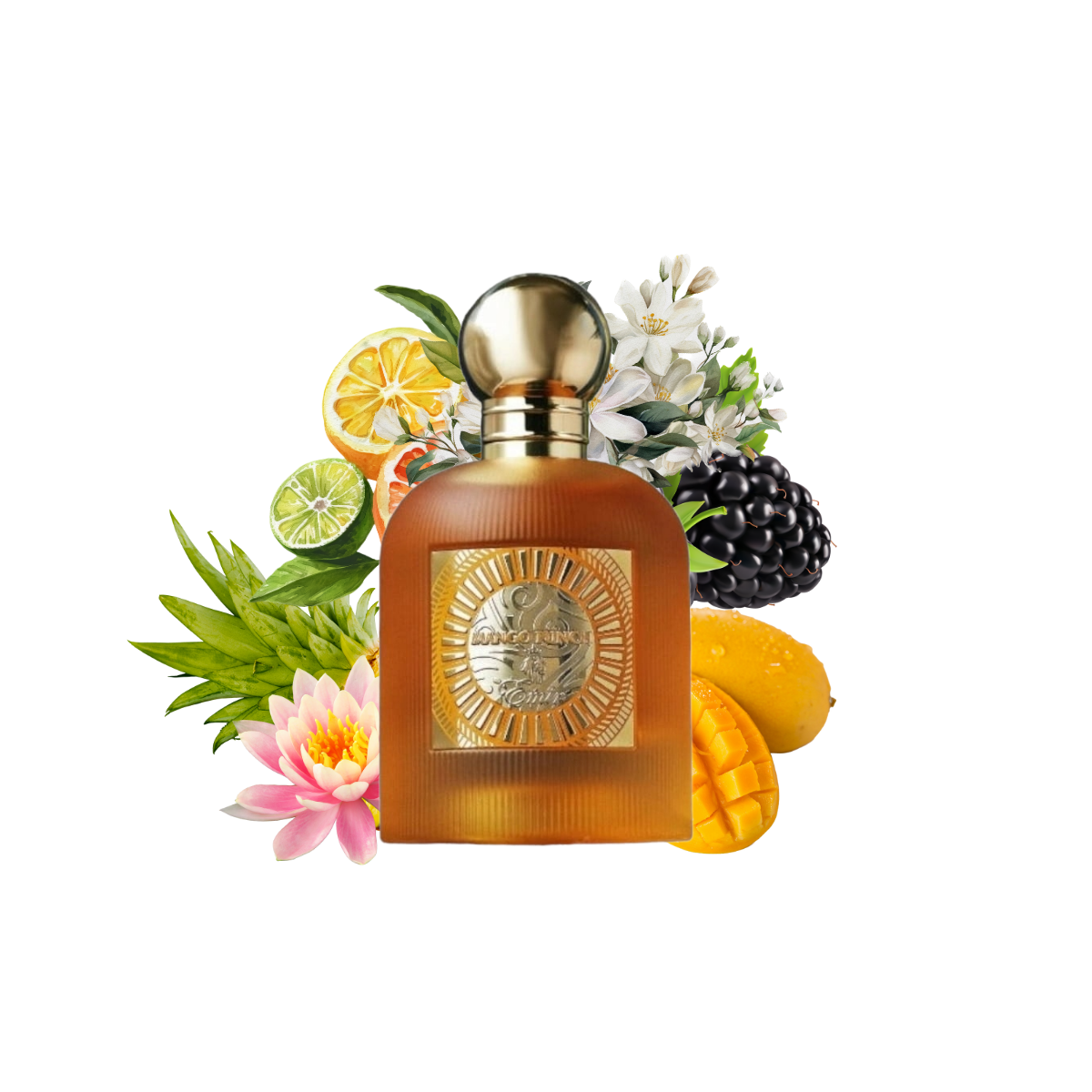 PARIS CORNER EMIR MANGO PUNCH ED100ML/U