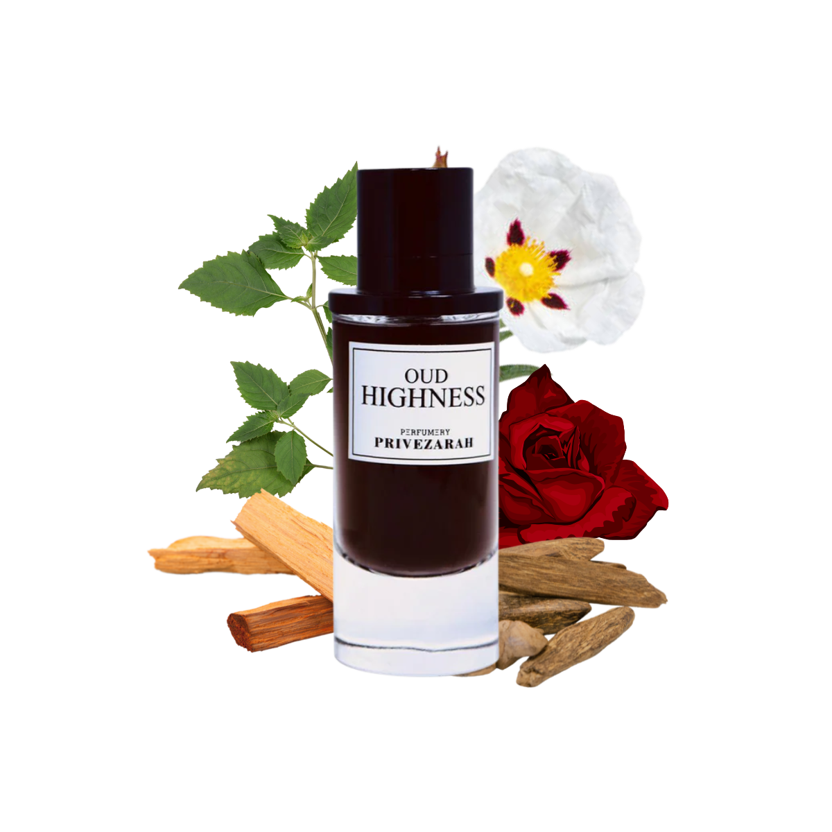 PRIVEZARAH OUD HIGHNESS EDP 100ML/U