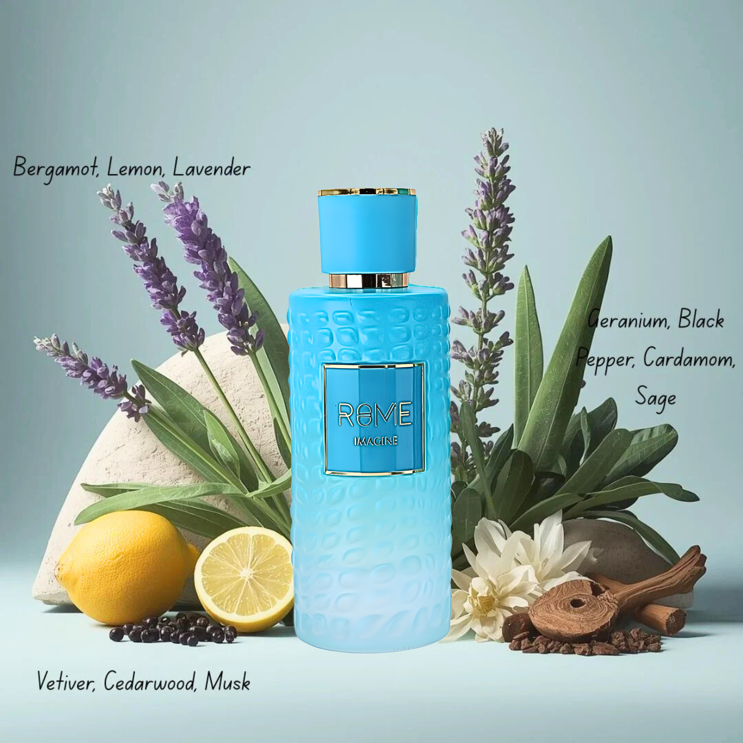 BHARARA ROME IMAGINE EDP 100ML/U