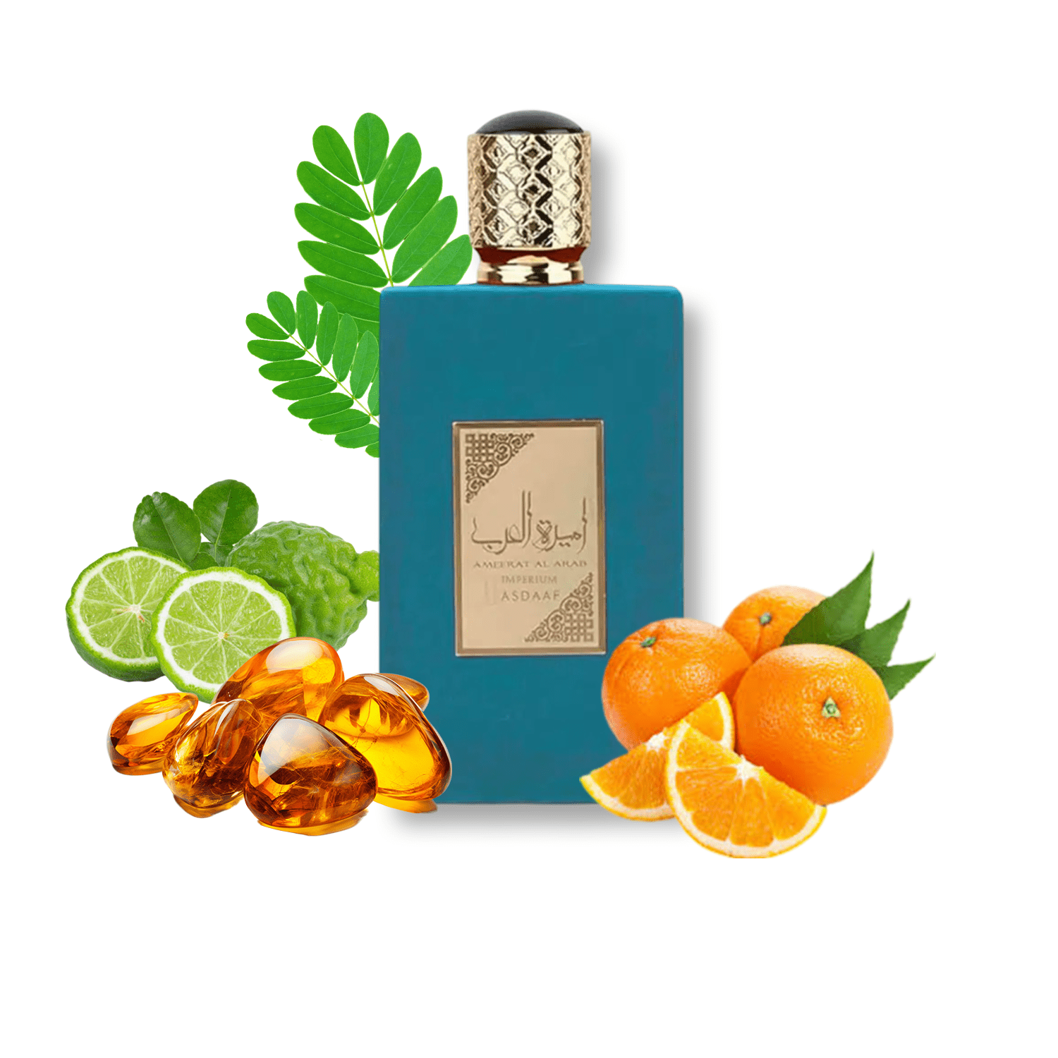 ASDAAF AMEER AL ARAB IMPERIUM EDP 100ML/M
