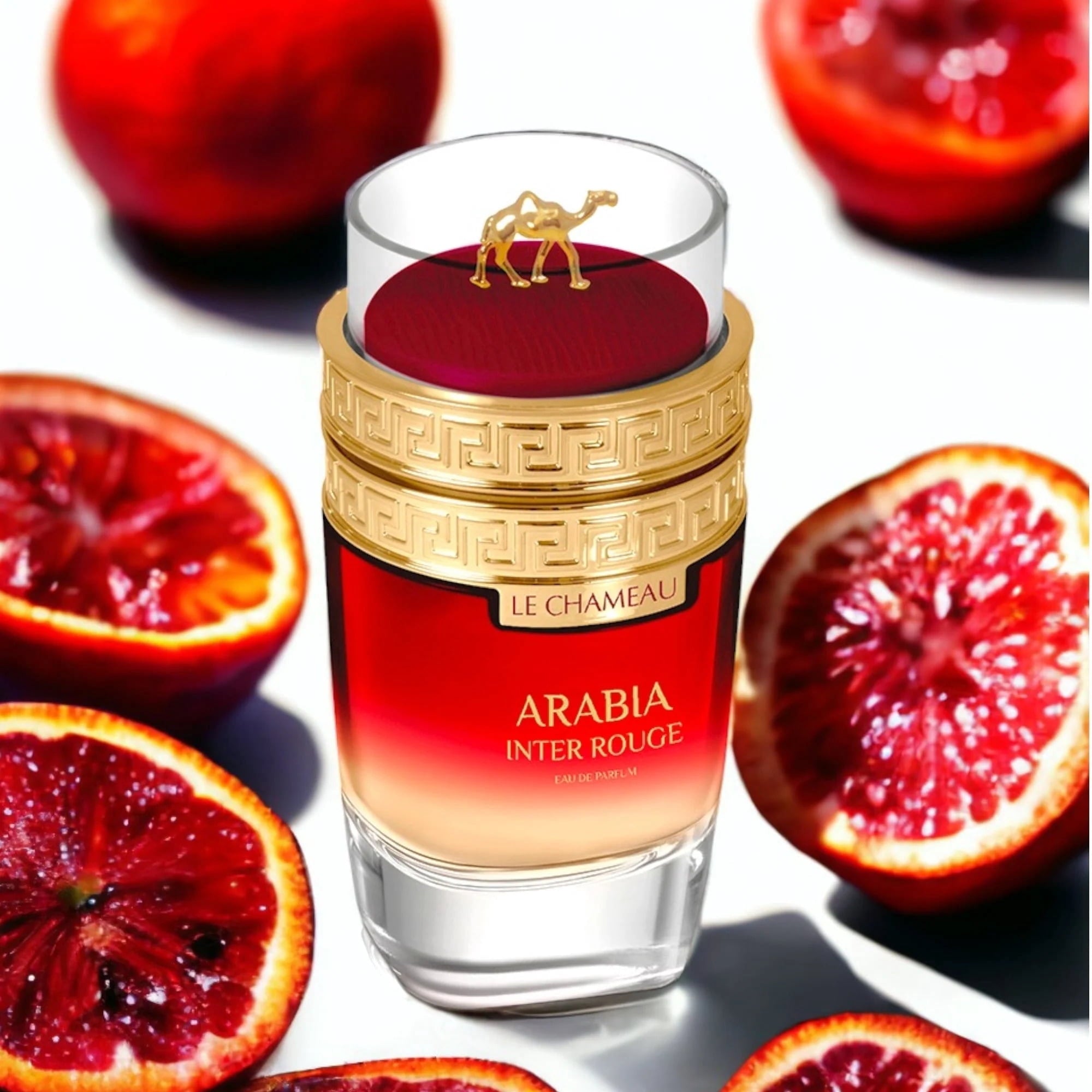 LE CHAMEAU ARABIA INTER ROUGE EDP 100ML/U