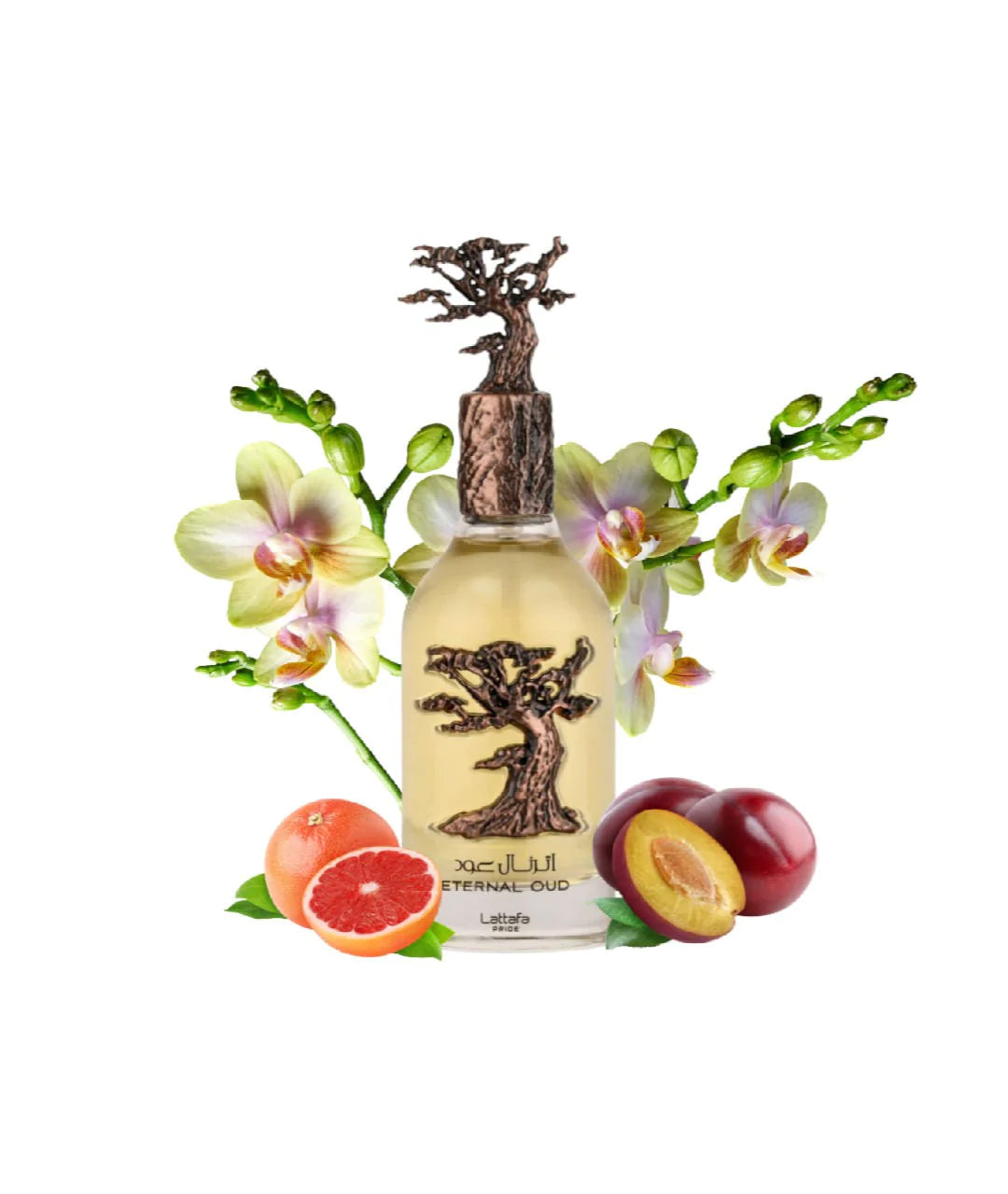 LATTAFA PRIDE ETERNAL OUD EDP 100ML/U