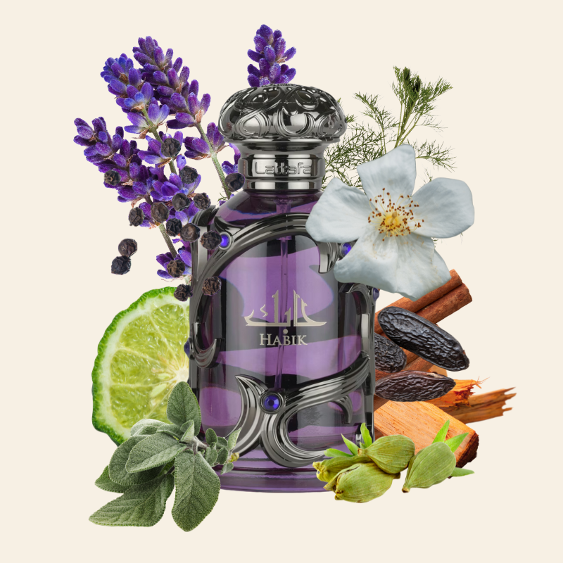 LATTAFA HABIK POUR HOMME EDP 100ML/M