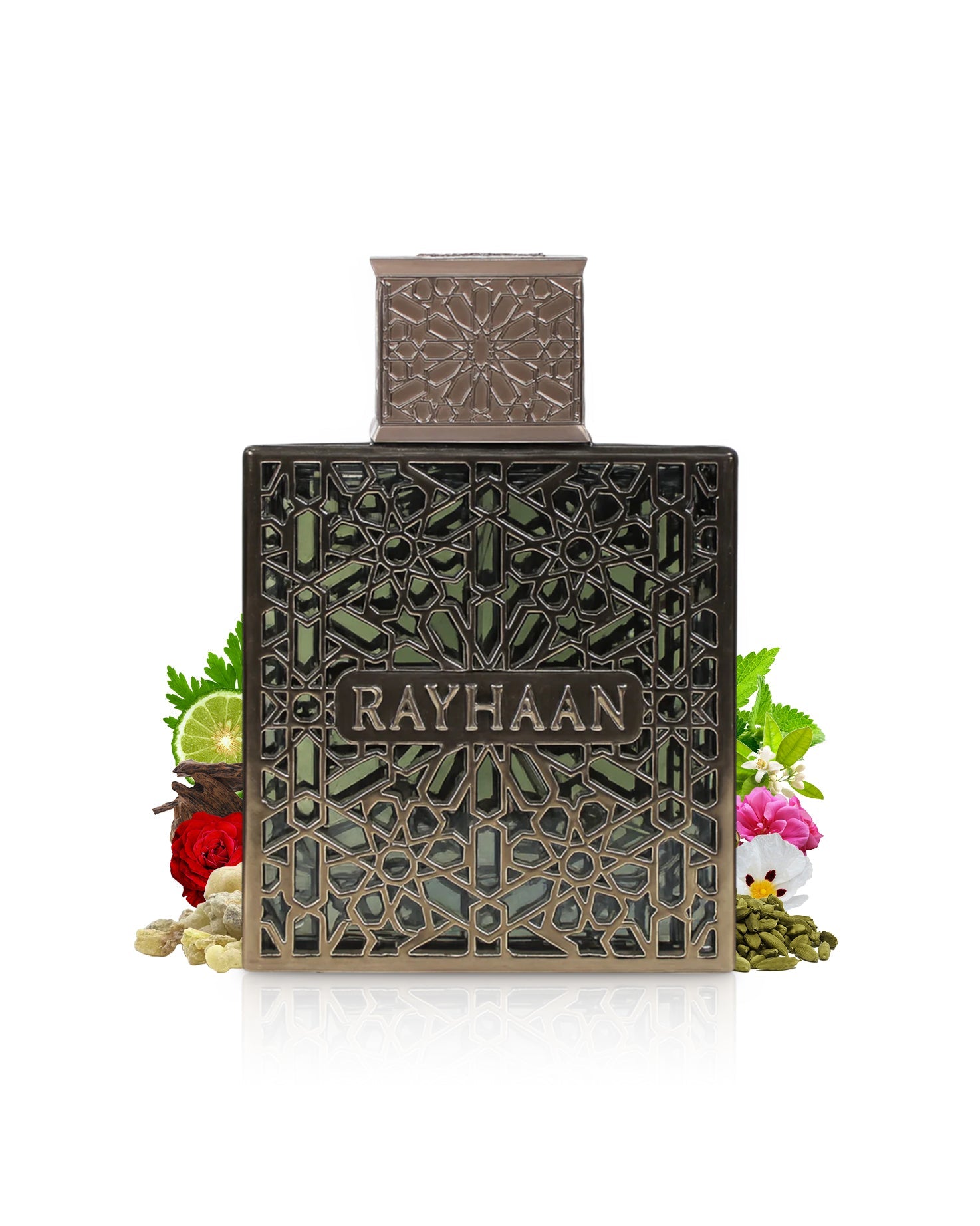 RAYHAAN TERRA EDP 100ML/U