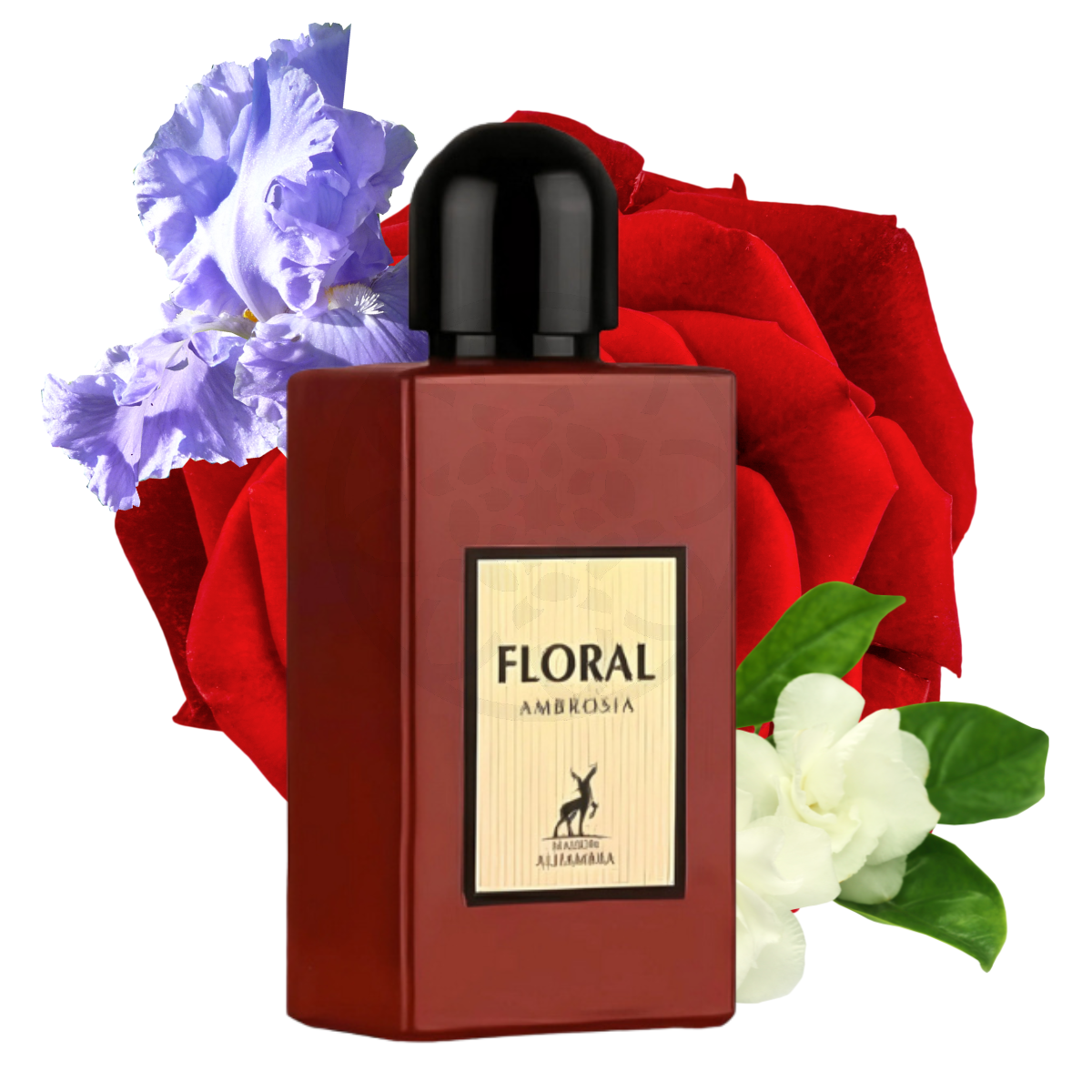 MAISON ALHAMBRA FLORAL AMBROSIA EDP 100ML/W
